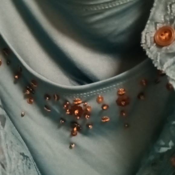 FINAL PRICE alfred dunner teal sheer 2-pc jacket set w brown trim & buttons 14 - Picture 12 of 12